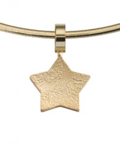 Star - pendants-animal