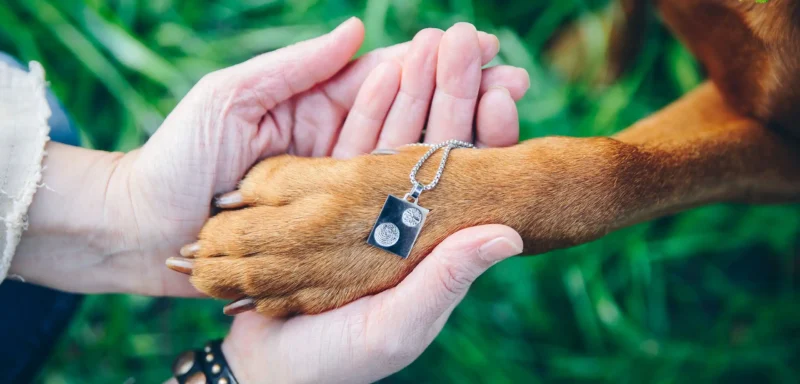 Adore - animal-pet-paw-print-jewellery