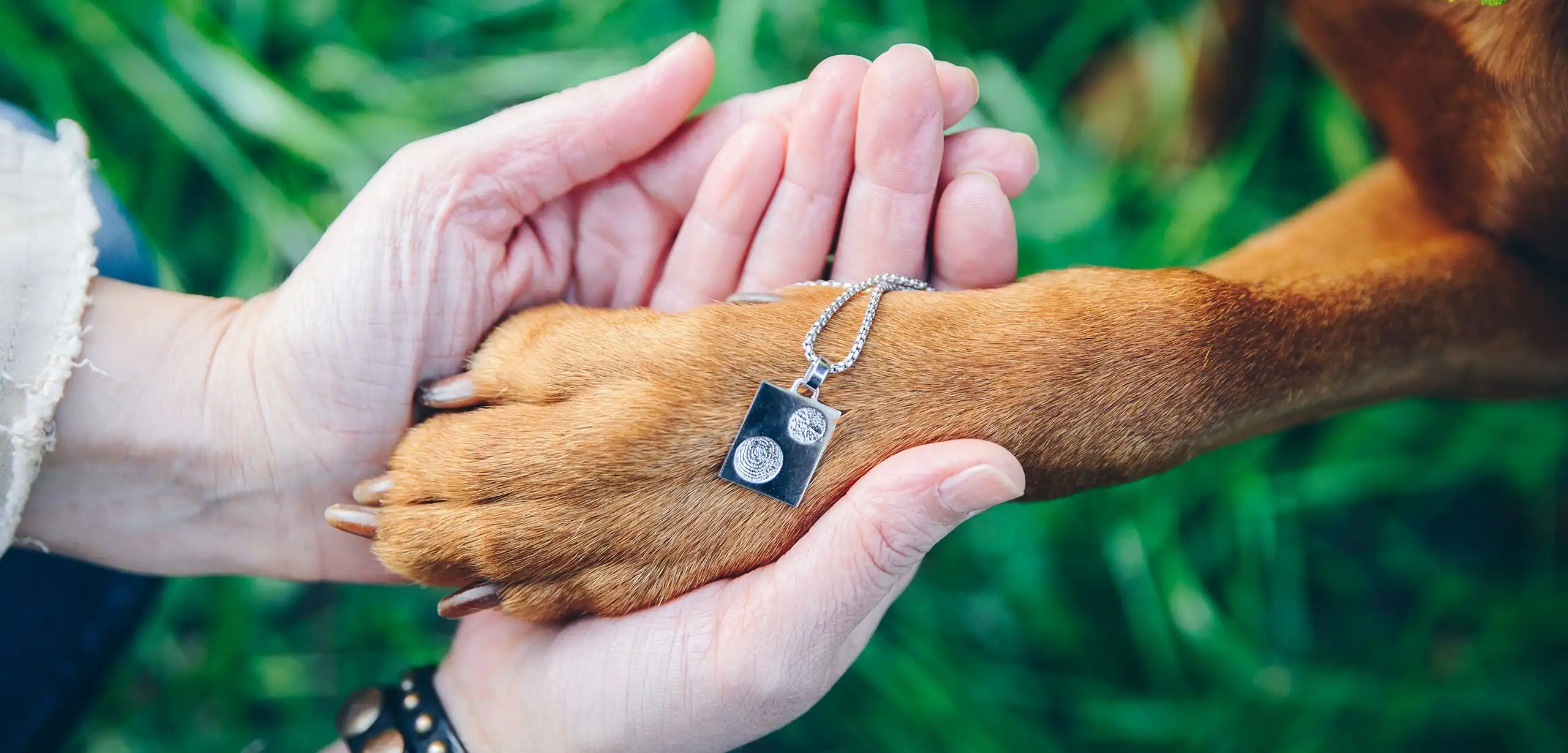 Adore - animal-pet-paw-print-jewellery